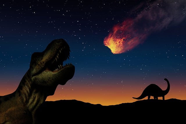 Les animaux menacés d'extinction : comment pouvons-nous les aider ?
