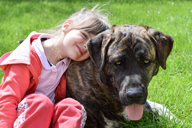Les races de chiens les plus adaptées aux familles avec enfants